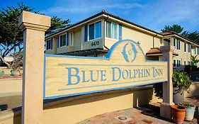 Blue Dolphin Cambria Ca